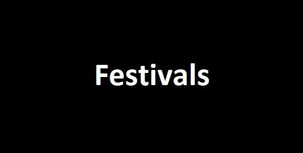 Holiday festivals